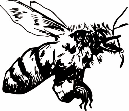 Wildblume Biene Honig Bio Imkerei Bio-Honig Bio-Imkerei Naturprodukt