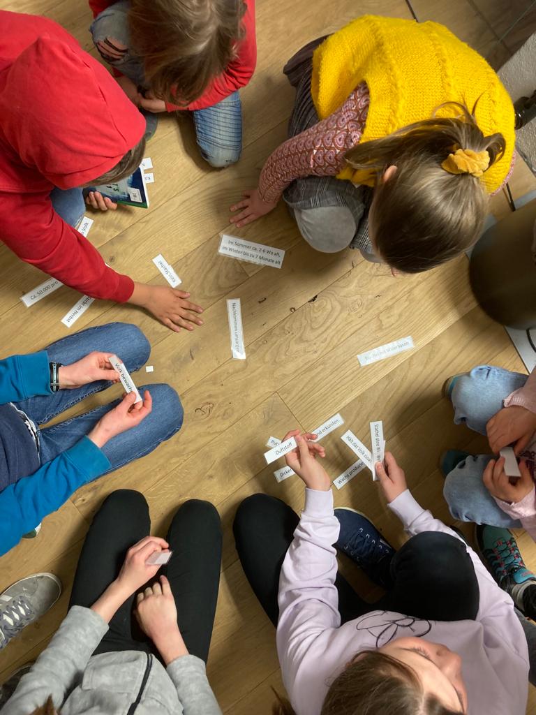 Wildblume Kinder Workshop Bienenpädagogik